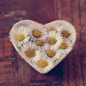 Fan Sounds for Restless