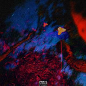 News (feat. Big-Z)