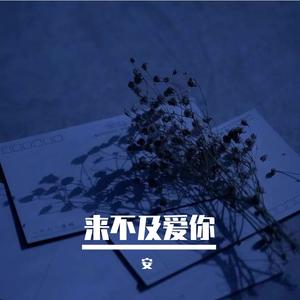 来不及爱你
