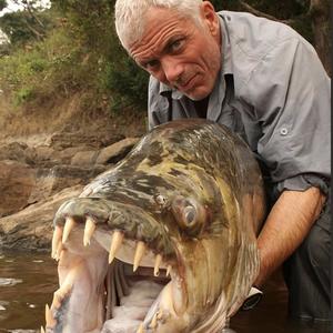 我是杰瑞米瓦德（Everywhere We Go）