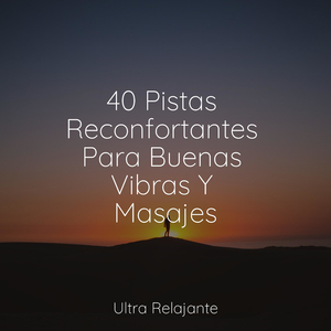 Sintetizadores De La Playa