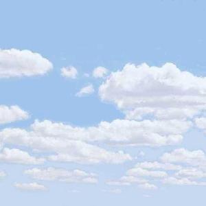 我又能记住你多久