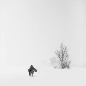 消散的是她的影子