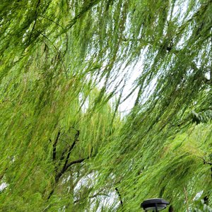 风吹过指间 伴奏