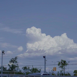 ヤキモチ + 起风了（翻自 买辣椒也用券）