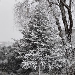 爱是共同撑一把漏雨的伞