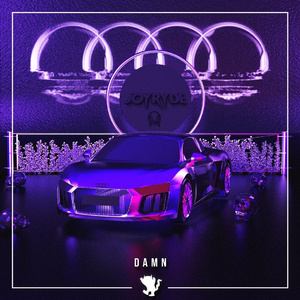 Damn (Wild Boyz! Remix)