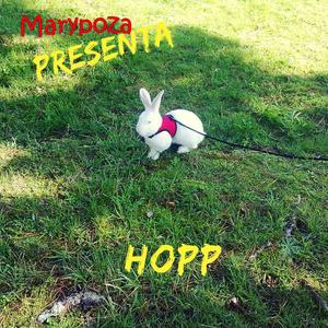 Hopp