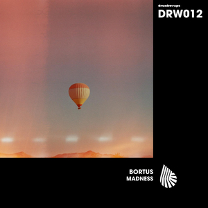 Madness (Radio Edit)