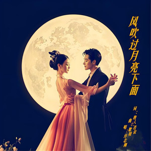 风吹过月亮下面-慢四步舞曲 (Remix)