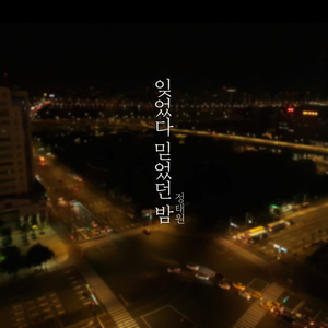 잊었다 믿었던 밤 (Inst.)