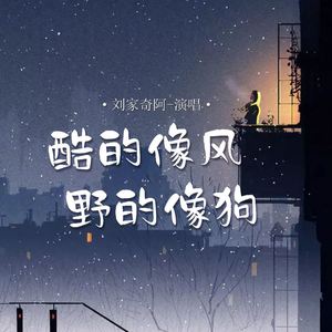 酷的像风野的像狗 (伴奏)