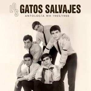 ¿Por Qué Heriste Mi Corazón? (Remasterizado 2026)