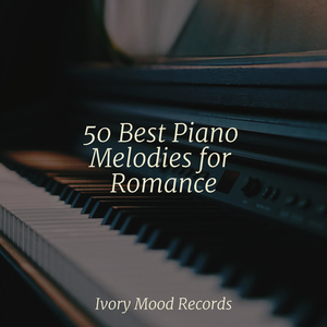 Mystical Jungle Journey