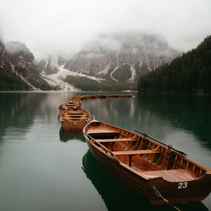 《雪落梅枝沾着暗香》