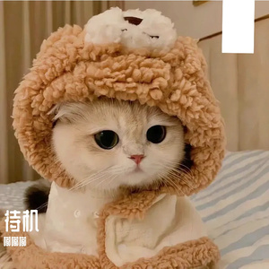 关注