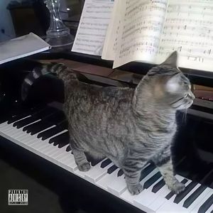 “对牛弹琴”Afro x Chill Type Beat