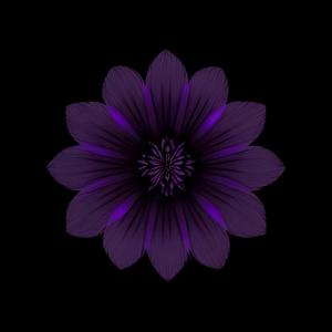 紫罗兰梦feat.MuMu(prod.Morrow)