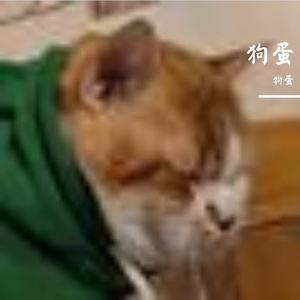 清晨薄雾中的长笛之约