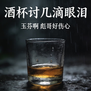 酒杯讨几滴眼泪 (玉芬啊 彪哥好伤心)