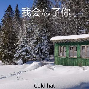 我会忘了你