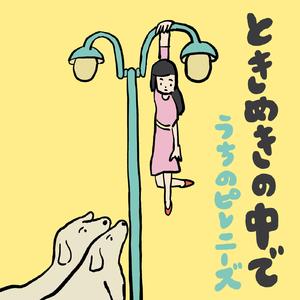 ときめきの中で