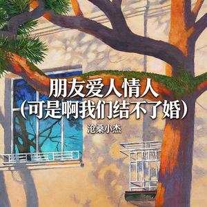 朋友爱人情人 (可是啊我们结不了婚)