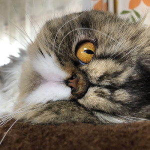 泡に埋もれた関係