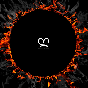 Ninjas (feat. Afro Dark, Kitoko Sound & Din BEATS)