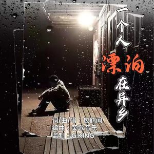 一个人漂泊在异乡