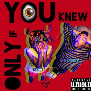 Only if You knew (feat. Tenet)