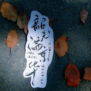 韶光满京华（纯音乐）