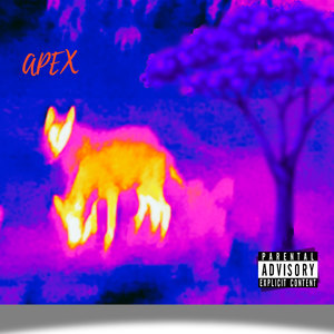 APEX