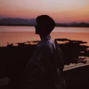 向着阳光的宁静