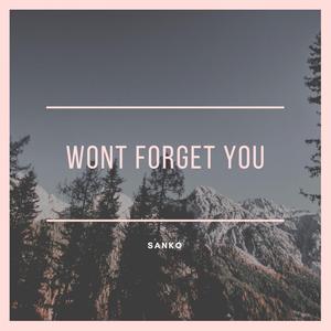 Wont Forget You