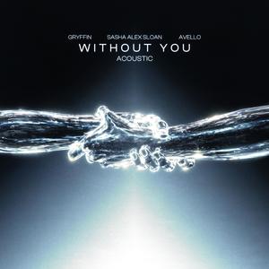 Without You (Acoustic)