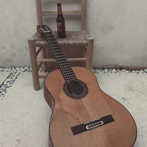 Guitarrista Flamenca Bavarese