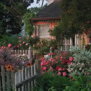 樂園(Paradise)(Demo)