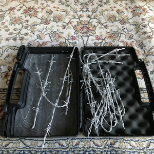 Un fiore sincero per piano spinato (feat. Mario Conte)