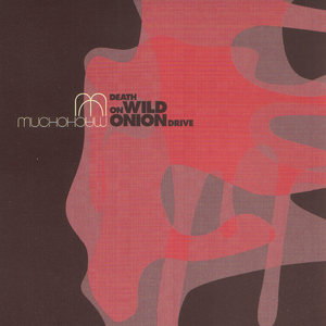 Have You Ever Heard A Man Fly?