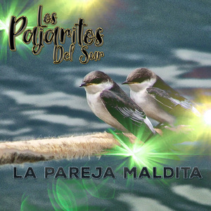 Tema Pajaritos