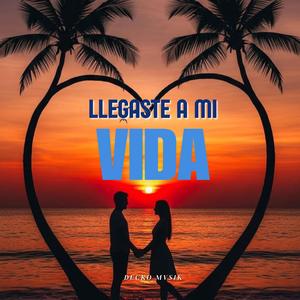 Llegaste a mi vida