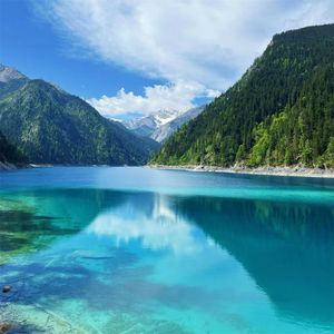 你的微笑如此温柔