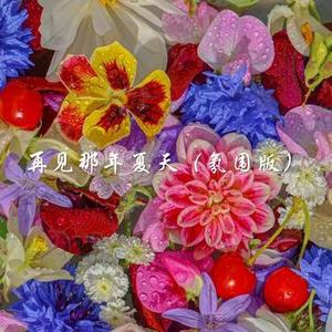 再见那年夏天