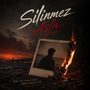 Silinmez Asla