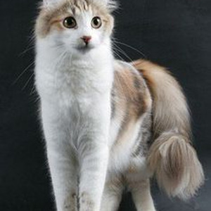 Get Your Grind On (sped up)