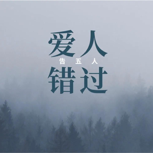 我错过无数个路口