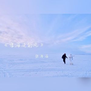 像海边的风（live）