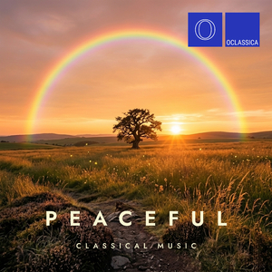 Violin Sonata in D Major, D. 384: I. Allegro molto
