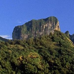 治愈伤口的痛 (12)